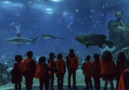 Lisszabon Oceánárium