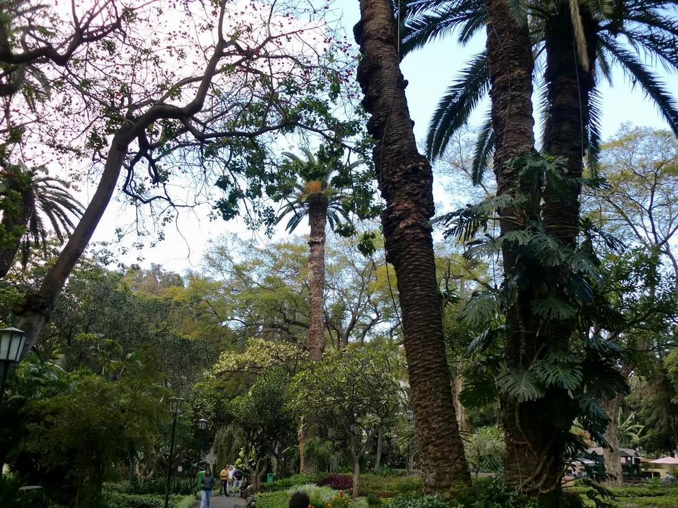 Funchal Jardim Municipal do Funchal